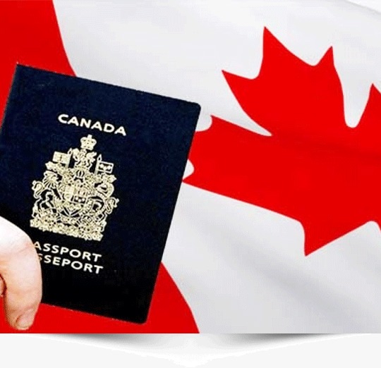 How can an immigration consultant help you out to move to Canada with ease?